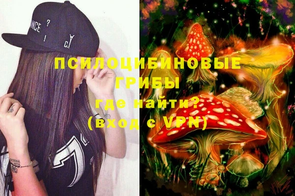 круглые Алексеевка