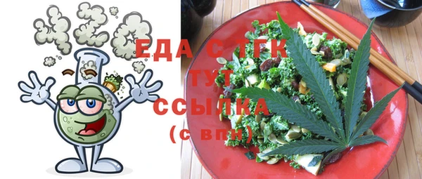 индика Аркадак