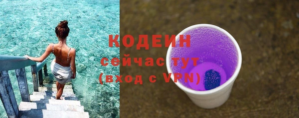 крисы Абаза