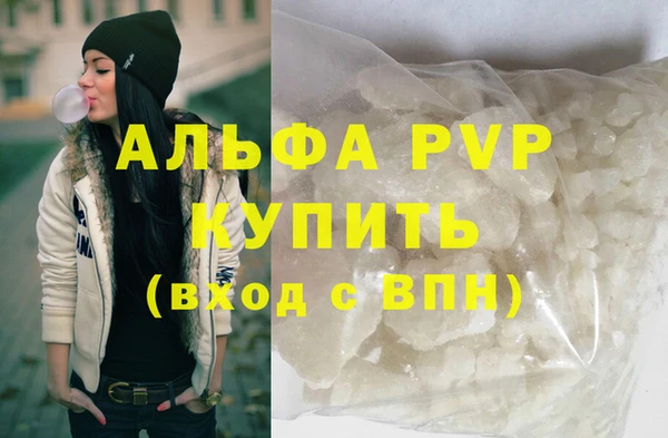 индика Аркадак
