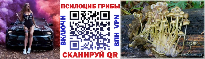 Галлюциногенные грибы Psilocybe Усинск