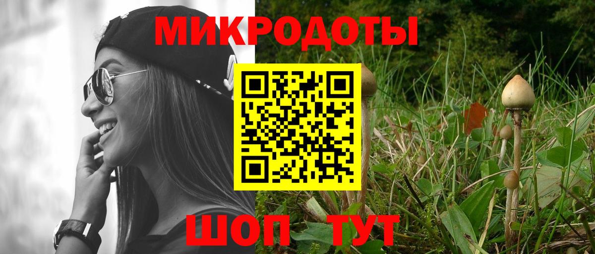 Галлюциногенные грибы Psilocybe  Вход с VPN  Усинск 